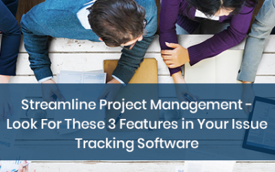 Streamline Project Management – Look For These 3 Features in Your Issue Tracking Software